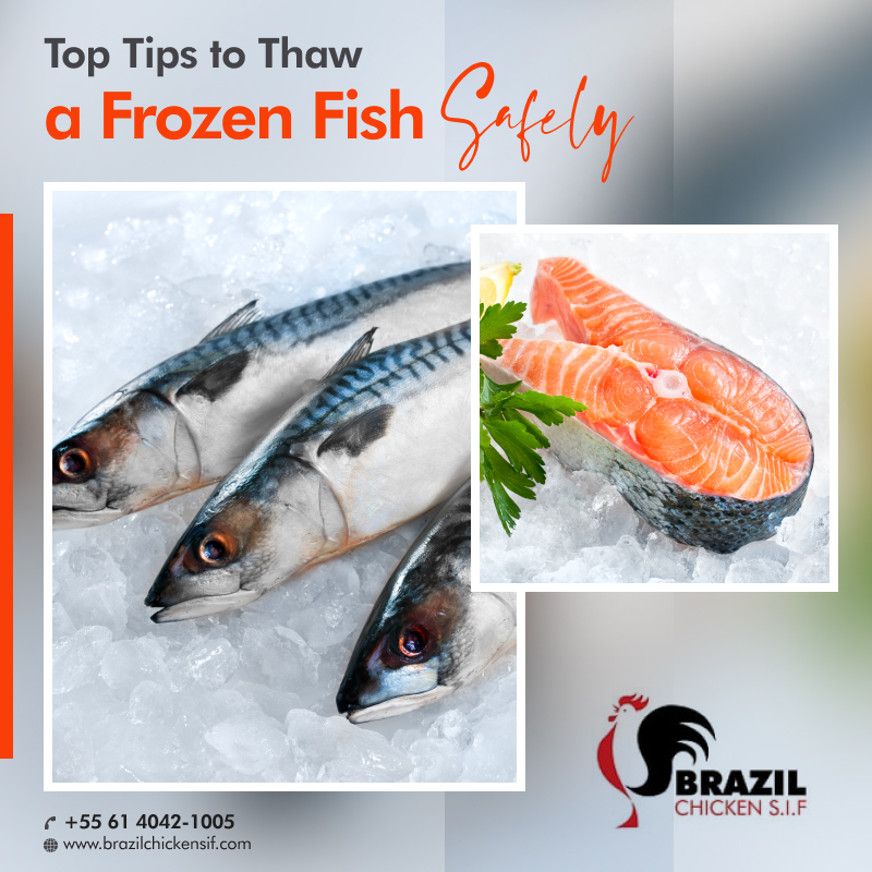 Top Tips to Thaw a Fish Safely.